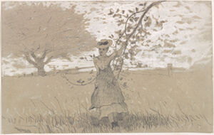 Graphite and opaque watercolor on paper