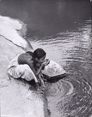 Gelatin silver print