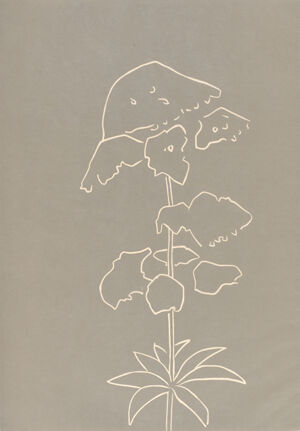 Linocut on paper (okawara, natural)
