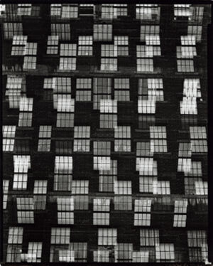 Gelatin silver print on paper