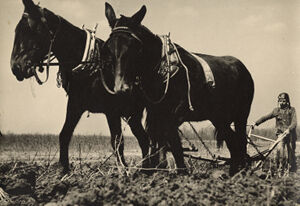 Gelatin silver print