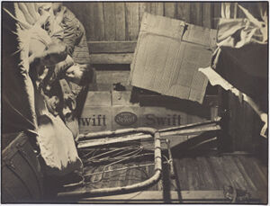 Gelatin silver print