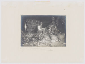 Gelatin silver print on paper