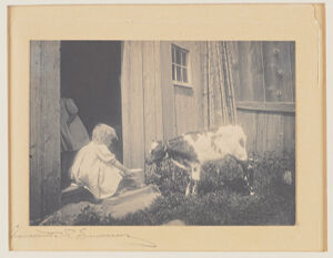 Gelatin silver print on paper