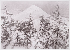 Gelatin silver print (61/100)