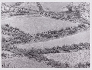 Gelatin silver print (61/100)