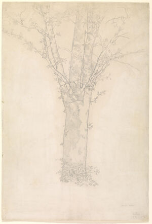 Graphite on paper