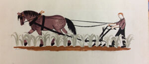 Watercolor and ink on paper