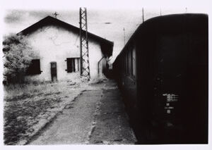 Infrared silver print on paper