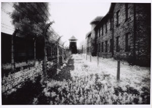 Infared silver print on paper