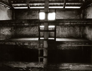 Silver print photograph on paper