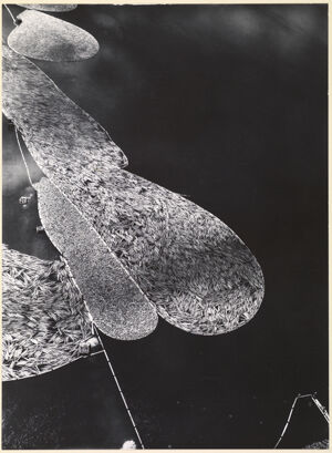 Silver print on paper