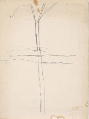 Pencil on paper
