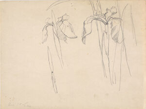 Pencil on paper