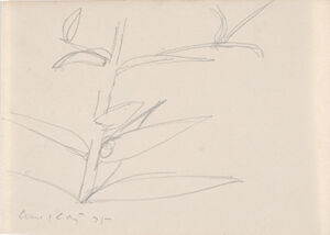 Pencil on paper