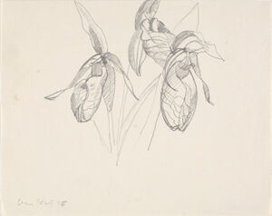 Pencil on paper