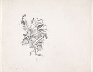Pencil on paper