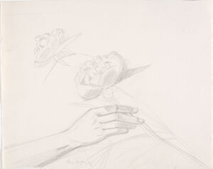 Pencil on paper