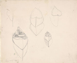 Pencil on paper