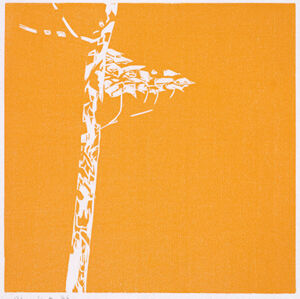 Woodcut on Iyo Glazed Paper Printer: John C. Erickson, Ny Published By The Artis