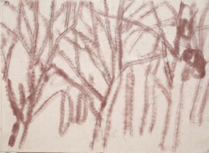Charcoal and dry pigment on paper