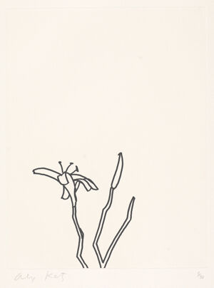 Etching on paper