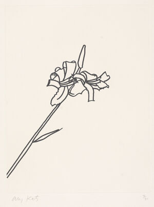 Etching on paper