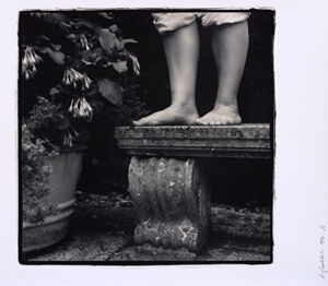 Silver prints, split sepia tone