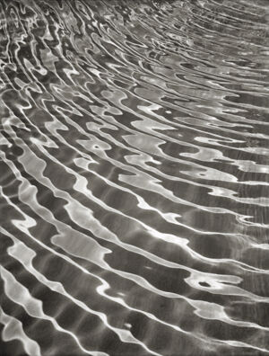 Gelatin silver contact print