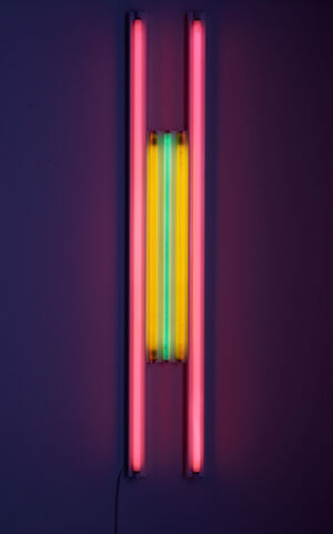 Pink, yellow and green fluorescent light