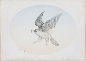 graphite and ink on paper