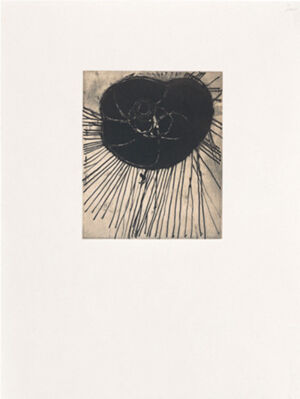 One of 14 intaglios; hand-drawn Mylar gravure, sugar-lift aquatint and photograv
