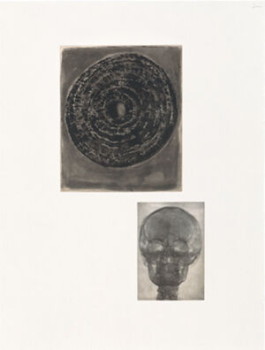 One of 14 intaglios; hand-drawn Mylar gravure, sugar-lift aquatint and photograv