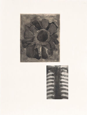 One of 14 intaglios; hand-drawn Mylar gravure, sugar-lift aquatint and photograv