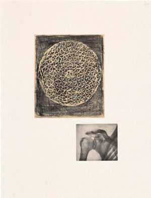 One of 14 intaglios; hand-drawn Mylar gravure, sugar-lift aquatint and photograv