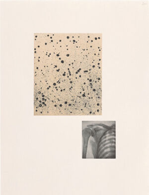 One of 14 intaglios; hand-drawn Mylar gravure, sugar-lift aquatint and photograv