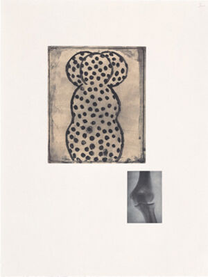 One of 14 intaglios; hand-drawn Mylar gravure, sugar-lift aquatint and photograv