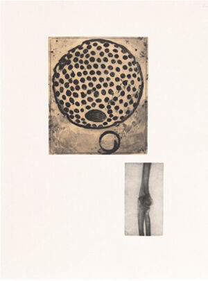 One of 14 intaglios; hand-drawn Mylar gravure, sugar-lift aquatint and photograv