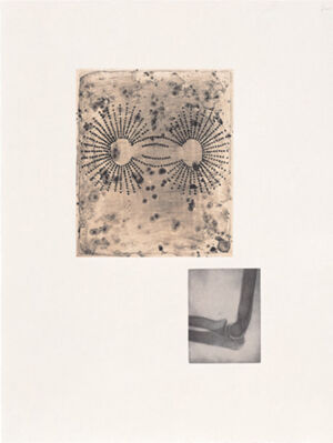 One of 14 intaglios; hand-drawn Mylar gravure, sugar-lift aquatint and photograv