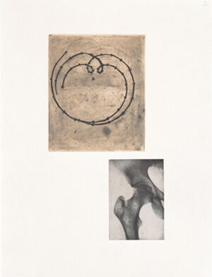 One of 14 intaglios; hand-drawn Mylar gravure, sugar-lift aquatint and photograv