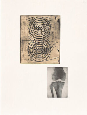 One of 14 intaglios; hand-drawn Mylar gravure, sugar-lift aquatint and photograv