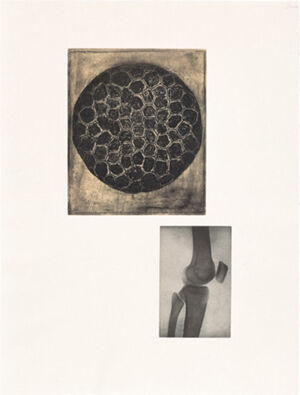 One of 14 intaglios; hand-drawn Mylar gravure, sugar-lift aquatint and photograv