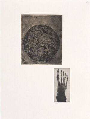 One of 14 intaglios; hand-drawn Mylar gravure, sugar-lift aquatint and photograv