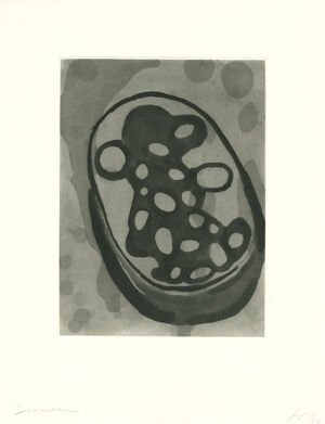 Sugar lift aquatint and spit bite aquatint on Hahnemuhle paper