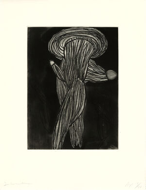 Etching, open bite etching, sugar lift aquatint, and spit bite aquatint on Hahne