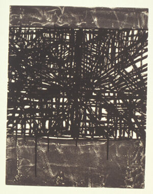 Xerox transfer, open bite etching, spit bite aquatint, and sugar lift aquatint p