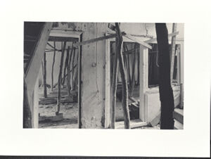 Sepia tone fiber silver print on paper