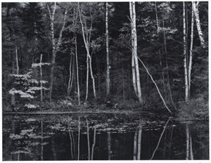 Silver bromide print on paper