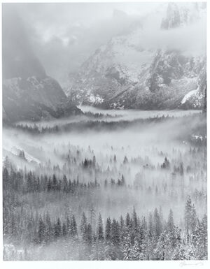 Silver bromide print on paper