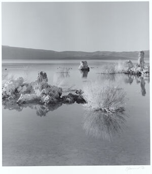 Silver bromide print on paper